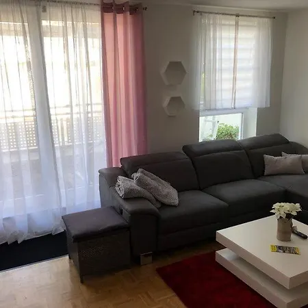 Apartment Vollmobliertes 2-zimmer Am Rhein Mit Grossem Balkon. Rheinblick