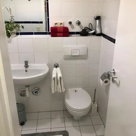 Apartment Vollmobliertes 2-zimmer Am Rhein Mit Grossem Balkon. Rheinblick Mainz
