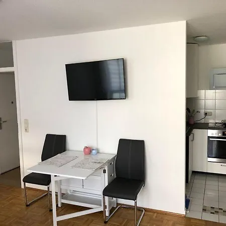 Vollmobliertes 2-zimmer Am Rhein Mit Grossem Balkon. Rheinblick Apartment