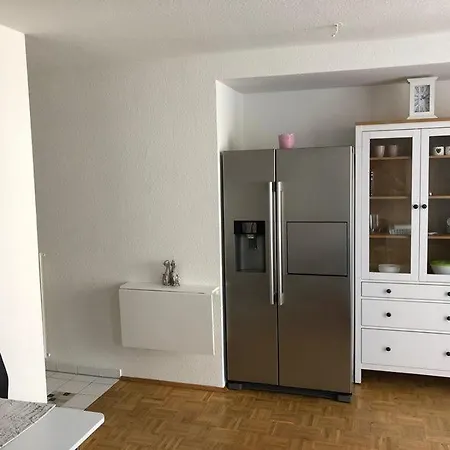 Apartment Vollmobliertes 2-zimmer Am Rhein Mit Grossem Balkon. Rheinblick Mainz